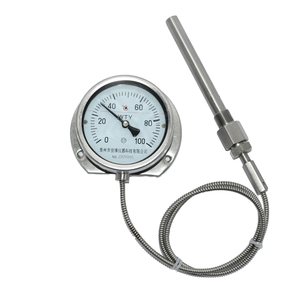 Stainless steel pressure type thermometer with Electrical Contact